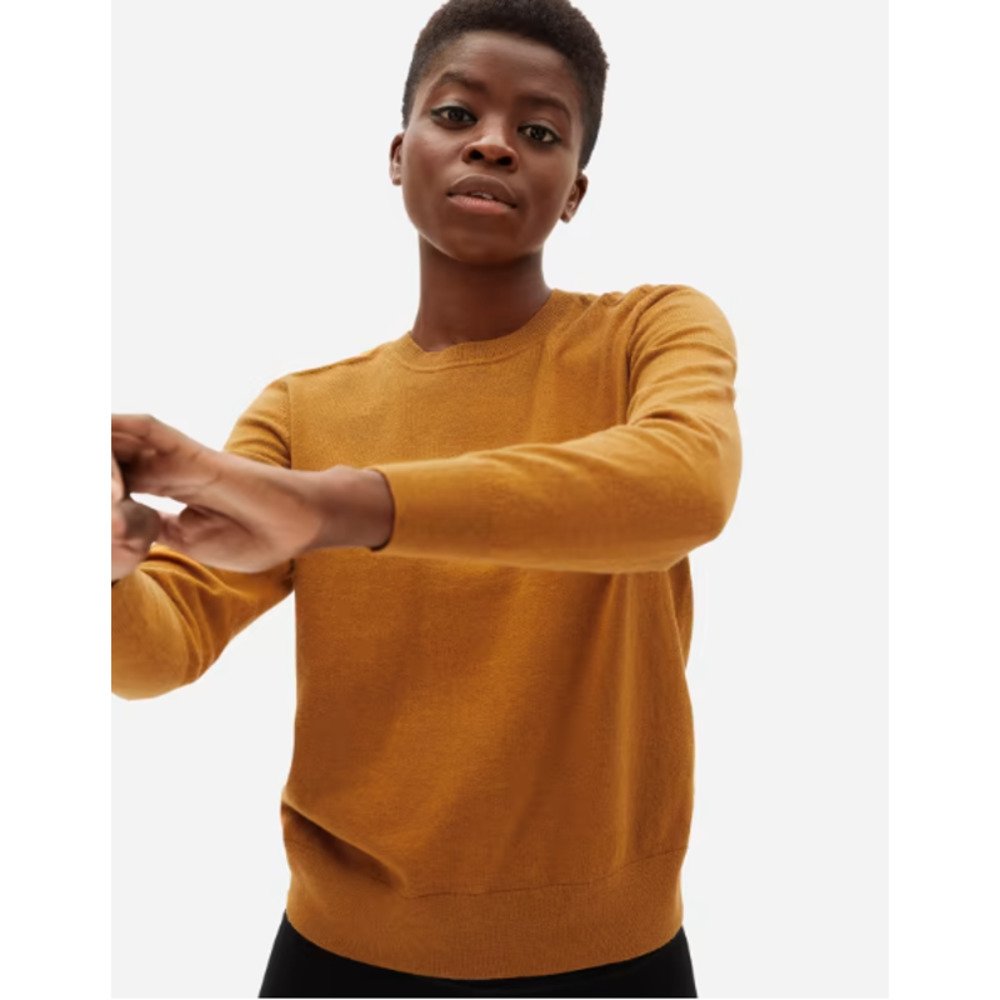 Everlane The Organic Cotton Crewneck Sweater in Copper S